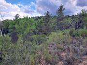 Terreno, Valderrobres