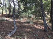 Terreno, Vale de Prazeres e Mata Da Rainha, Fundão | BPI...