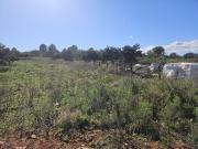 Terreno, Vall d&apos Alba