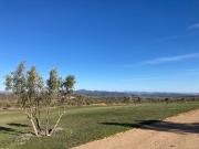 Terreno Valle de Guadalupe