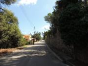 Terreno, Vallgorguina