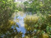 Terreno, Valverde de la Vera