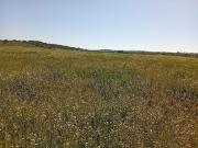 Terreno, Valverde de la Vera