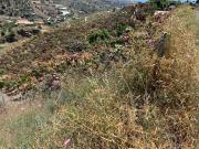 Terreno, Vélez Malaga