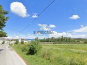 Terreno Venda em Alcanena e Vila Moreira,Alcanena