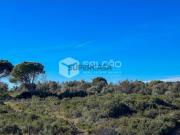 Terreno Venda em Almoster,Santarém