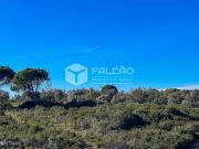 Terreno Venda em Almoster,Santarm