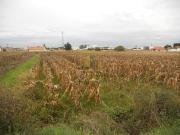 Terreno Venda em Aradas,Aveiro