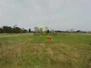 Terreno Venda em Calvão,Vagos