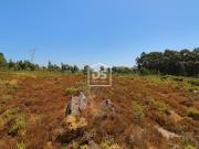 Terreno Venda em Campo e Sobrado,Valongo Terreno Venda em Campo e Sobrado,Valongo