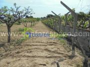 Terreno Venda em Castelo Branco