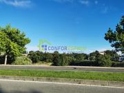 Terreno Venda em Castelo Branco,Castelo Branco