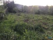 Terreno Venda em Ferreiros e Gondizalves,Braga | 22033255670