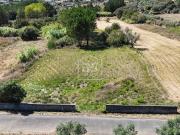 Terreno Venda em Maceira,Leiria