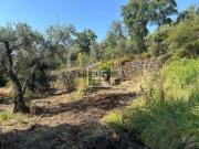 Terreno Venda em Ninho do Açor e Sobral do Campo,Castelo...