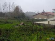 Terreno Venda em Palmeira,Braga | 22033245910