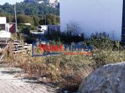 Terreno Venda em Palmeira,Braga | 24093818220