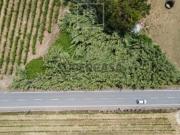 Terreno Venda em São Lourenço do Bairro,Anadia