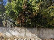 Terreno Venda Estufa 2 próximo do Forum