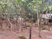 Terreno Venda Ilhabela SP Costa Bela