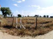 Terreno Venda Lote de Terreno Urbano com 1278m2...