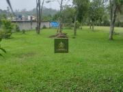 Terreno Venda São Paulo SP Parque Florestal