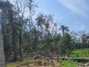 Terreno Venda Ubatuba SP Araribá
