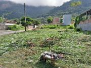 Terreno Venda Ubatuba SP Lazaro