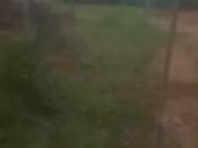 Terreno Venda Ubatuba SP Maranduba