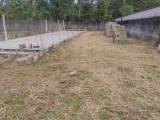 Terreno Venda Ubatuba SP Tabatinga