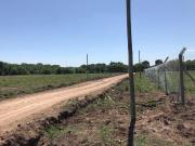 Terreno venta 12 x 50 mts 600 mts 2 Arturo Segui