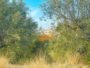 Terreno Venta Almería