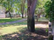 TERRENO VENTA ARAUCA 1