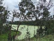 TERRENO / VENTA / CAMPESTRE DEL LAGO