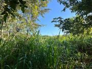 TERRENO, VENTA, CARRILLO PUERTO, RIVIERA MAYA, Q. ROO,...