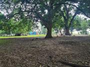 TERRENO VENTA, CHINAMECA. VERACRUZ.CARRETERA TRANSÍSMICA...