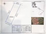 Terreno  Venta  Ciénega del pedregal, Puentecillas,...