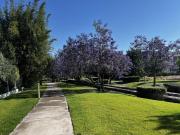 TERRENO VENTA EL CAMPANARIO LOTE 15 DE LA INMACULADA