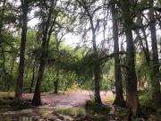 Terreno Venta en Allende, Nuevo León