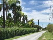 TERRENO VENTA LINARES NUEVO LEON TERRENO VENTA LINARES NUEVO LEON