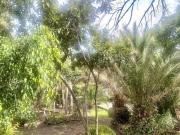 Terreno Venta Lomas Hipodromo