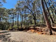 Terreno Venta Mazamitla Los Cazos
