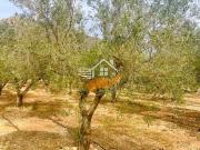 Terreno Venta Murcia