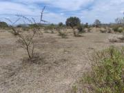 Terreno Venta Nuevo campus Buap 2