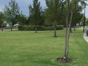 TERRENO VENTA PASEOS DEL PUEBLITO CAMPANARIO QUERETARO...