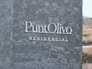 Terreno Venta PuntOlivo, Centro Sur
