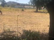 TERRENO VENTA REMOLINO YAUTEPEC MORELOS