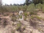 Terreno Venta Valencia