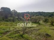 TERRENO VENTA valsequillo SAN BALTAZAR TETELA PUEBLA
