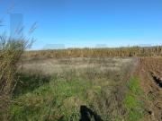 Terreno, Ventosa, Torres Vedras | BPI Expresso Imobiliário